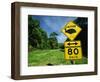 Warning Road Sign for Cassowaries Near Mission Beach, Northeast Coast of Queensland, Australia-Robert Francis-Framed Photographic Print