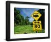 Warning Road Sign for Cassowaries Near Mission Beach, Northeast Coast of Queensland, Australia-Robert Francis-Framed Photographic Print