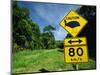 Warning Road Sign for Cassowaries Near Mission Beach, Northeast Coast of Queensland, Australia-Robert Francis-Mounted Photographic Print