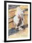 Warpath, 1986-Sandra Lawrence-Framed Giclee Print