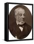 Warren De La Rue, British Astronomer and Physicist, 1882-Lock & Whitfield-Framed Stretched Canvas