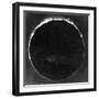 Warren De La Rue's Photograph of Total Solar Eclipse at Rivabellosa, Spain, 18 July 1860-Warren De La Rue-Framed Premium Giclee Print