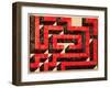 Warren Fletcher Maze-Thomas MacGregor-Framed Giclee Print