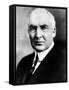 Warren G. Harding, United States President 1921-1923, 1920s-null-Framed Stretched Canvas