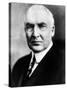 Warren G. Harding, United States President 1921-1923, 1920s-null-Stretched Canvas