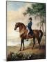 Warren Hastings Esq. on His Arabian Horse, after a Painting by George Stubbs, 1796 (1724-1806)-George Townley Stubbs-Mounted Giclee Print