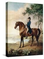 Warren Hastings Esq. on His Arabian Horse, after a Painting by George Stubbs, 1796 (1724-1806)-George Townley Stubbs-Stretched Canvas