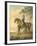 Warren Hastings on His Arabian Horse, 1796 (W/C on Paper)-George Townley Stubbs-Framed Giclee Print