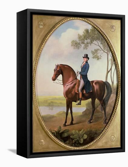 Warren Hastings on His Arabian Horse-George Stubbs-Framed Stretched Canvas