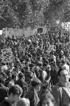 Large crowd demonstrate against the Vietnam war in Washington, D.C., 21 Oct. 1967-Warren K. Leffler-Photographic Print
