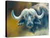 Warrior - African Cape Buffalo-Kim Thompson-Stretched Canvas