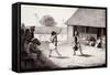 Warrior Dance Performed at Dutch Residence in Buru Island-null-Framed Stretched Canvas