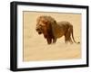 Warrior, Etosha, 2018-Eric Meyer-Framed Photographic Print