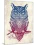 Warrior Owl-Rachel Caldwell-Mounted Art Print