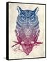 Warrior Owl-Rachel Caldwell-Framed Stretched Canvas