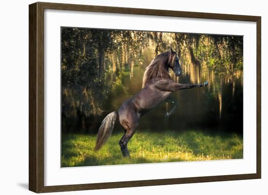 Warrior Prince-Bob Langrish-Framed Photographic Print