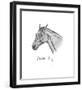 Warrior's Head-Sir Alfred Munnings-Framed Premium Giclee Print