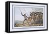 Warriors of New South Wales-J.h. Clark-Framed Stretched Canvas