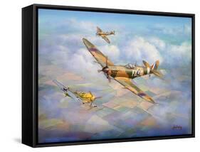 Warriors of the Sky-John Bradley-Framed Stretched Canvas