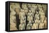 Warriors, Terracotta Army, UNESCO World Heritage Site, Xian, Shaanxi, China, Asia-Janette Hill-Framed Stretched Canvas