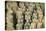 Warriors, Terracotta Army, UNESCO World Heritage Site, Xian, Shaanxi, China, Asia-Janette Hill-Stretched Canvas