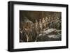 Warriors, Terracotta Army, UNESCO World Heritage Site, Xian, Shaanxi, China, Asia-Janette Hill-Framed Photographic Print