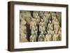 Warriors, Terracotta Army, UNESCO World Heritage Site, Xian, Shaanxi, China, Asia-Janette Hill-Framed Photographic Print