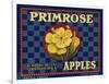 Warshaw Collection of Business Americana Food; Fruit Crate Labels, D.W.C.L. Primrose Brand-null-Framed Art Print