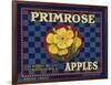 Warshaw Collection of Business Americana Food; Fruit Crate Labels, D.W.C.L. Primrose Brand-null-Framed Art Print