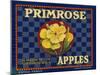 Warshaw Collection of Business Americana Food; Fruit Crate Labels, D.W.C.L. Primrose Brand-null-Mounted Art Print