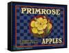 Warshaw Collection of Business Americana Food; Fruit Crate Labels, D.W.C.L. Primrose Brand-null-Framed Stretched Canvas