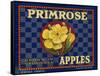 Warshaw Collection of Business Americana Food; Fruit Crate Labels, D.W.C.L. Primrose Brand-null-Framed Stretched Canvas