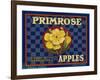 Warshaw Collection of Business Americana Food; Fruit Crate Labels, D.W.C.L. Primrose Brand-null-Framed Art Print