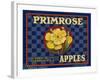 Warshaw Collection of Business Americana Food; Fruit Crate Labels, D.W.C.L. Primrose Brand-null-Framed Art Print