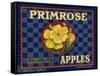 Warshaw Collection of Business Americana Food; Fruit Crate Labels, D.W.C.L. Primrose Brand-null-Framed Stretched Canvas