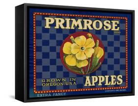Warshaw Collection of Business Americana Food; Fruit Crate Labels, D.W.C.L. Primrose Brand-null-Framed Stretched Canvas