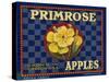 Warshaw Collection of Business Americana Food; Fruit Crate Labels, D.W.C.L. Primrose Brand-null-Stretched Canvas