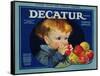 Warshaw Collection of Business Americana Food; Fruit Crate Labels, Dacatur Orchard Company-null-Framed Stretched Canvas