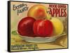 Warshaw Collection of Business Americana Food; Fruit Crate Labels, Davidson Fruit Co.-null-Framed Stretched Canvas