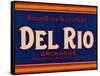 Warshaw Collection of Business Americana Food; Fruit Crate Labels, Del Rio Orchards-null-Framed Stretched Canvas