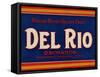 Warshaw Collection of Business Americana Food; Fruit Crate Labels, Del Rio Orchards-null-Framed Stretched Canvas