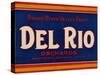 Warshaw Collection of Business Americana Food; Fruit Crate Labels, Del Rio Orchards-null-Stretched Canvas