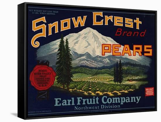 Warshaw Collection of Business Americana Food; Fruit Crate Labels, Earl Fruit Company-null-Framed Stretched Canvas