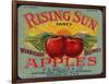 Warshaw Collection of Business Americana Food; Fruit Crate Labels, F.E. Nellis & Co.-null-Framed Art Print