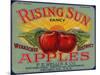 Warshaw Collection of Business Americana Food; Fruit Crate Labels, F.E. Nellis & Co.-null-Mounted Art Print