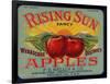 Warshaw Collection of Business Americana Food; Fruit Crate Labels, F.E. Nellis & Co.-null-Framed Art Print