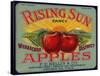 Warshaw Collection of Business Americana Food; Fruit Crate Labels, F.E. Nellis & Co.-null-Framed Stretched Canvas