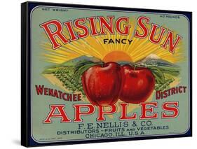 Warshaw Collection of Business Americana Food; Fruit Crate Labels, F.E. Nellis & Co.-null-Framed Stretched Canvas