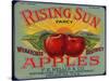 Warshaw Collection of Business Americana Food; Fruit Crate Labels, F.E. Nellis & Co.-null-Stretched Canvas