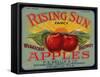 Warshaw Collection of Business Americana Food; Fruit Crate Labels, F.E. Nellis & Co.-null-Framed Stretched Canvas